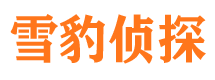 屏山调查公司